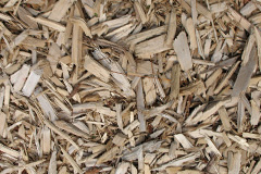 biomass boilers Cwmrhydyceirw